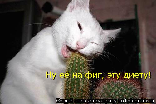 Котоматрица: Ну её на фиг, эту диету!