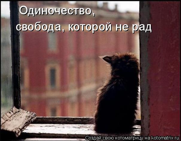 Одиночество, свобода, которой не рад... Котоматрица: Одиночество, свобода, которой не рад