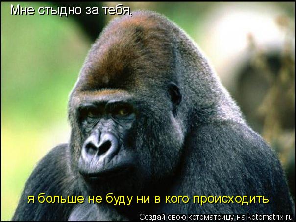 Мне стыдно за тебя, я больше не буду ни в кого происходить... Котоматрица: Мне стыдно за тебя, я больше не буду ни в кого происходить