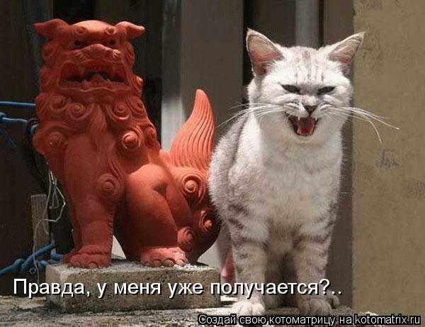 Правда, у меня уже получается?..... Котоматрица: Правда, у меня уже получается?..