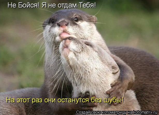 Не Бойся! Я не отдам Тебя! На этот раз они останутся без шубы!... Котоматрица: Не Бойся! Я не отдам Тебя! На этот раз они останутся без шубы!