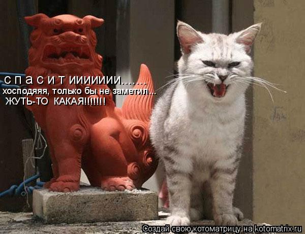 с п а с и т иииииии....... хосподяяя, только бы не заметил... ЖУТЬ-ТО КАКАЯ!!!!!!!... Котоматрица: с п а с и т иииииии....... хосподяяя, только бы не заметил... ЖУТЬ-ТО КАКАЯ!!!!!!!