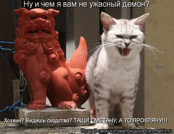 Ну и чем я вам не ужасный демон? Хозяин? Видишь сходство? ТАЩИ СМЕТАНУ, А ТО ПРОКЛЯНУ!!!... Котоматрица: Ну и чем я вам не ужасный демон? Хозяин? Видишь сходство? ТАЩИ СМЕТАНУ, А ТО ПРОКЛЯНУ!!!