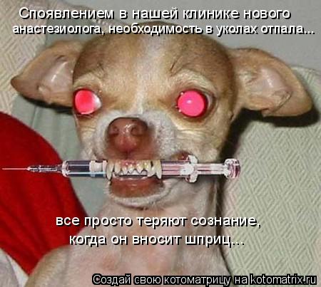 Споявлением в нашей клинике нового анастезиолога, необходимость в уколах отпала... все просто теряют ... Котоматрица: Споявлением в нашей клинике нового анастезиолога, необходимость в уколах отпала... все просто теряют сознание, когда он вносит шприц...