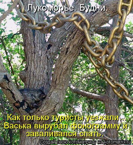 Лукоморье. Будни. Как только туристы уезжали... Васька вырубал фонограмму и заваливался спать.... Котоматрица: Лукоморье. Будни. Как только туристы уезжали... Васька вырубал фонограмму и заваливался спать.