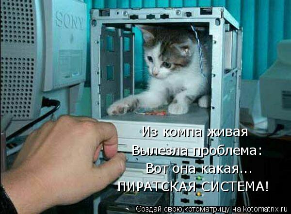Из компа живая Вылезла проблема: Вот она какая... ПИРАТСКАЯ СИСТЕМА!... Котоматрица: Из компа живая Вылезла проблема: Вот она какая... ПИРАТСКАЯ СИСТЕМА!