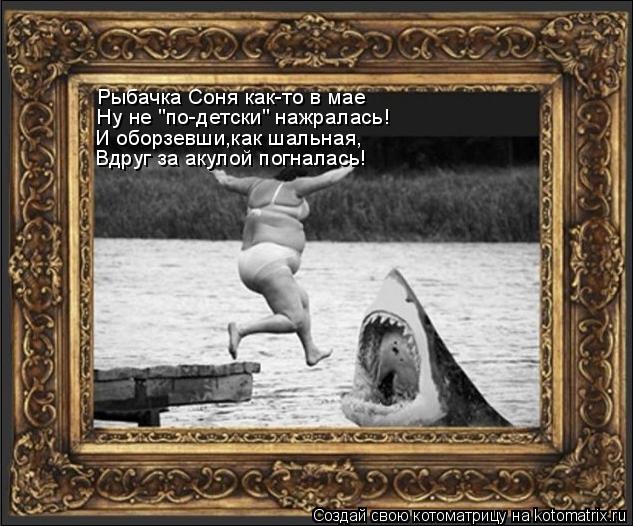 Рыбачка Соня как-то в мае Ну не "по-детски" нажралась! И оборзевши,как шальная, Вдруг за акулой погна... Котоматрица: Рыбачка Соня как-то в мае Ну не "по-детски" нажралась! И оборзевши,как шальная, Вдруг за акулой погналась!