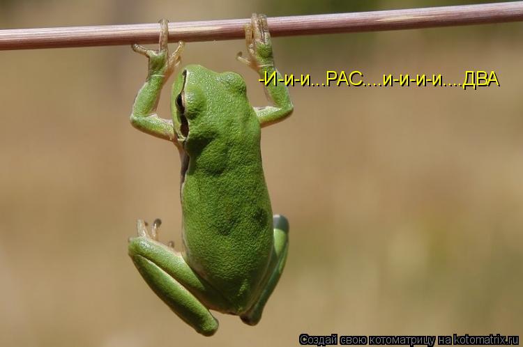 -И-и-и...РАС....и-и-и-и....ДВА... Котоматрица: -И-и-и...РАС....и-и-и-и....ДВА
