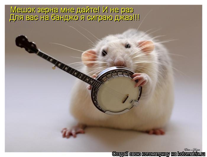 Мешок зерна мне дайте! И не раз Для вас на банджо я сиграю джаз!!!... Котоматрица: Мешок зерна мне дайте! И не раз Для вас на банджо я сиграю джаз!!!