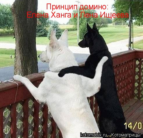 Принцип домино: Елена Ханга и Лена Ищеева... Котоматрица: Принцип домино: Елена Ханга и Лена Ищеева