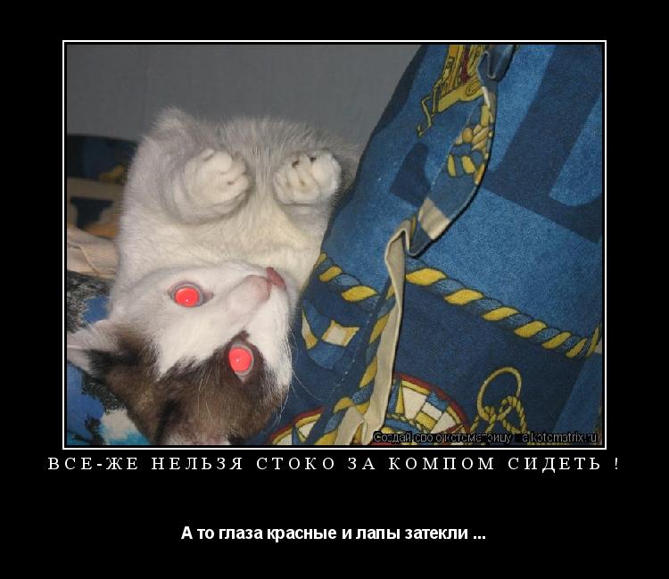 Всё-же нельзя стоко за компом сидеть ! А то глаза красные и лапы затекли ...... Котоматрица: Всё-же нельзя стоко за компом сидеть ! А то глаза красные и лапы затекли ...