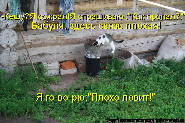 Бабуля, здесь связь плохая! Я го-во-рю:"Плохо ловит!" Бабуля, здесь связь плохая! -Кешу?Я сожрал!Я сп... Котоматрица: Бабуля, здесь связь плохая! Я го-во-рю:"Плохо ловит!" Бабуля, здесь связь плохая! -Кешу?Я сожрал!Я спрашиваю :"Как пропал?!"