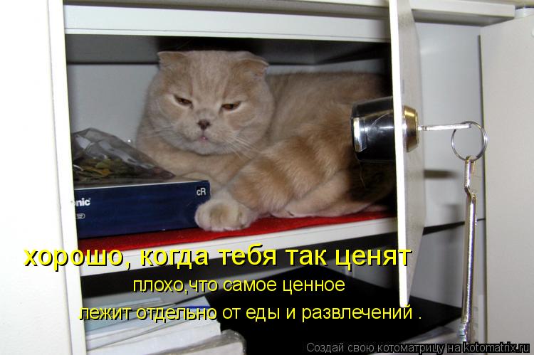 хорошо, когда тебя так ценят плохо,что самое ценное лежит отдельно от еды и развлечений .... Котоматрица: хорошо, когда тебя так ценят плохо,что самое ценное лежит отдельно от еды и развлечений .