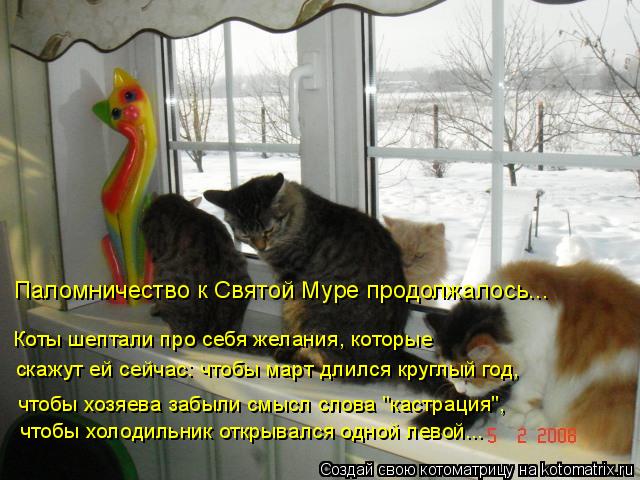 Паломничество к Святой Муре продолжалось... чтобы холодильник открывался одной левой... чтобы хозяева... Котоматрица: Паломничество к Святой Муре продолжалось... чтобы холодильник открывался одной левой... чтобы хозяева забыли смысл слова "кастрация", скажут