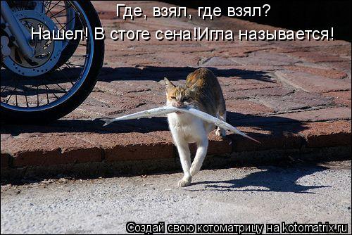 Где, взял, где взял? Нашел! В стоге сена!Игла называется!... Котоматрица: Где, взял, где взял? Нашел! В стоге сена!Игла называется!