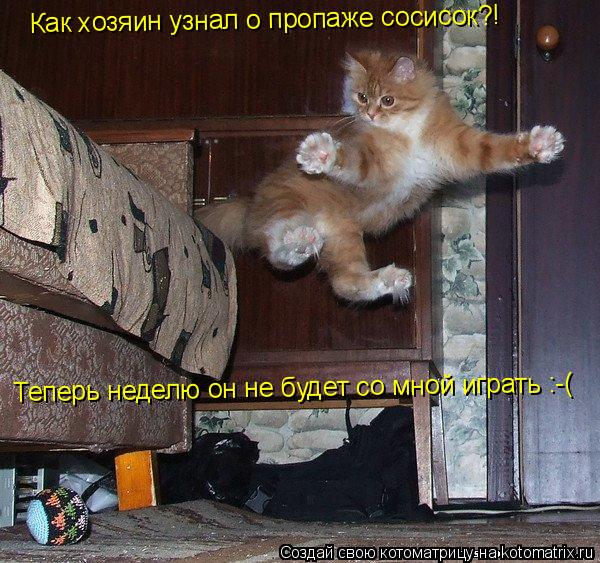 Котоматрица: Как хозяин узнал о пропаже сосисок?! Теперь неделю он не будет со мной играть :-(