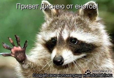 Котоматрица: Привет Диснею от енотов!