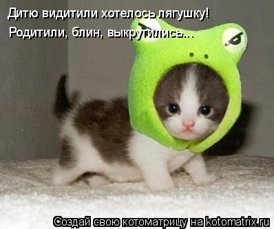 Котоматрица: Дитю видитили хотелось лягушку!  Родитили, блин, выкрутились...