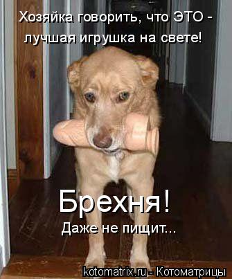 Хозяйка говорить, что ЭТО - лучшая игрушка на свете! Брехня! Даже не пищит...... Котоматрица: Хозяйка говорить, что ЭТО - лучшая игрушка на свете! Брехня! Даже не пищит...