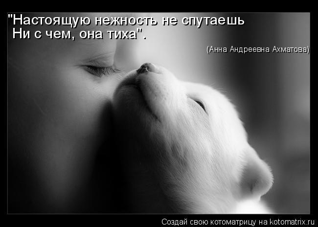"Настоящую нежность не спутаешь Ни с чем, она тиха". (Анна Андреевна Ахматова)... Котоматрица: "Настоящую нежность не спутаешь Ни с чем, она тиха". (Анна Андреевна Ахматова)