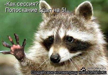 -Как сессия? Полоскание сдал на 5!... Котоматрица: -Как сессия? Полоскание сдал на 5!