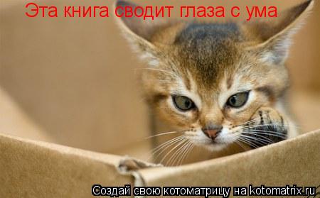 Котоматрица: Эта книга сводит глаза с ума