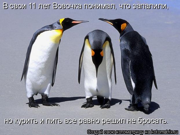В свои 11 лет Вовочка понимал, что запалили, но курить и пить все равно решил не бросать.... Котоматрица: В свои 11 лет Вовочка понимал, что запалили, но курить и пить все равно решил не бросать.