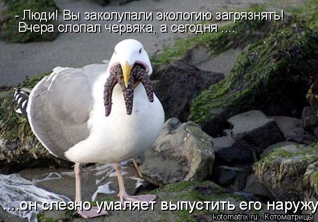 - Люди! Вы заколупали экологию загрязнять! Вчера слопал червяка, а сегодня .... ....он слезно умаляет... Котоматрица: - Люди! Вы заколупали экологию загрязнять! Вчера слопал червяка, а сегодня .... ....он слезно умаляет выпустить его наружу!