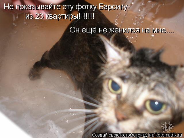 Не показывайте эту фотку Барсику из 23 квартиры!!!!!!! Он ещё не женился на мне....... Котоматрица: Не показывайте эту фотку Барсику из 23 квартиры!!!!!!! Он ещё не женился на мне....