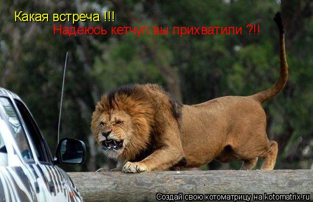 Какая встреча !!! Надеюсь кетчуп вы прихватили ?!!... Котоматрица: Какая встреча !!! Надеюсь кетчуп вы прихватили ?!!