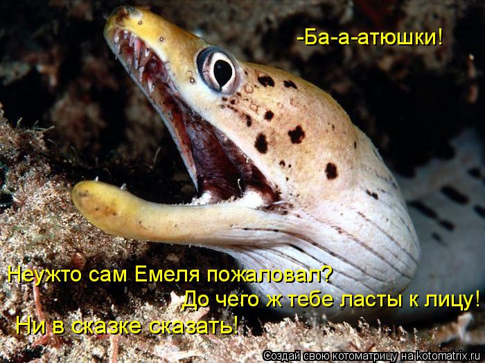 -Ба-а-атюшки! Неужто сам Емеля пожаловал? До чего ж тебе ласты к лицу! Ни в сказке сказать!... Котоматрица: -Ба-а-атюшки! Неужто сам Емеля пожаловал? До чего ж тебе ласты к лицу! Ни в сказке сказать!