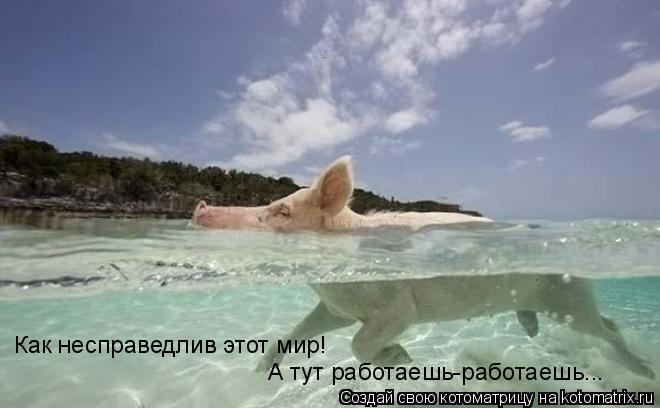 Котоматрица: Как несправедлив этот мир! А тут работаешь-работаешь...