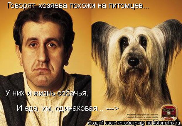Котоматрица: Говорят, хозяева похожи на питомцев... У них и жизнь собачья, И еда, хм, одинаковая... --->