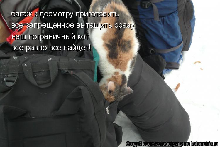 Котоматрица: багаж к досмотру приготовить все запрещенное вытащить сразу наш пограничный кот  все равно все найдет!