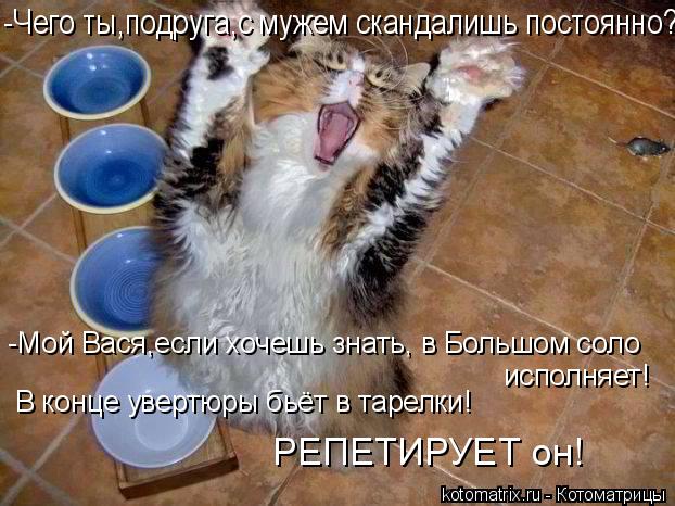 Котоматрица: -Мой Вася,если хочешь знать, в Большом соло исполняет! В конце увертюры бьёт в тарелки! РЕПЕТИРУЕТ он! -Чего ты,подруга,с мужем скандалишь пос
