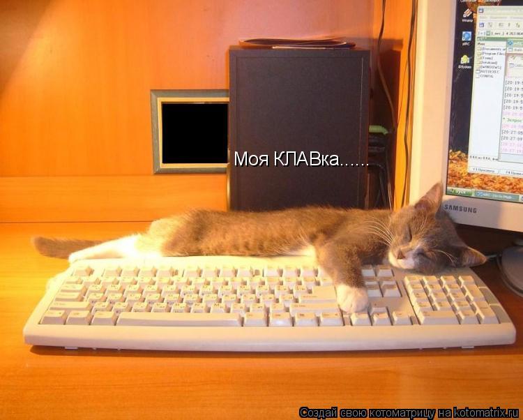 Котоматрица: Моя КЛАВка......