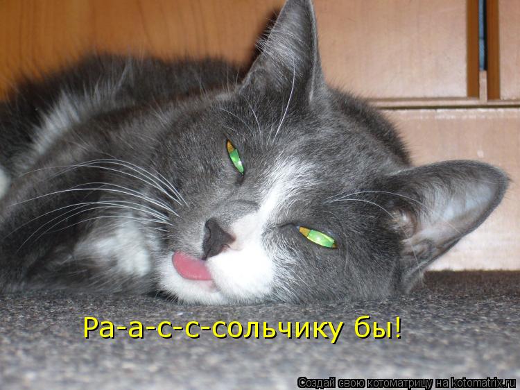 Котоматрица: Ра-а-с-с-сольчику бы!
