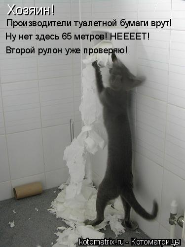 Котоматрица: Хозяин! Производители туалетной бумаги врут! Второй рулон уже проверяю! Ну нет здесь 65 метров! НЕЕЕЕТ!