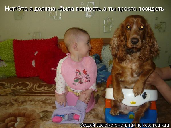 Котоматрица: Нет!Это я должна -была пописать,а ты просто посидеть.