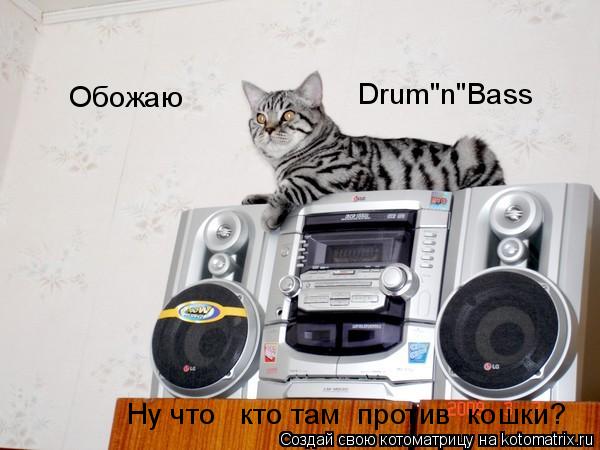 Котоматрица: Drum"n"Bass Обожаю Ну что   кто там  против  кошки?