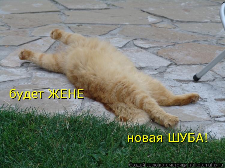 Котоматрица: будет ЖЕНЕ новая ШУБА!
