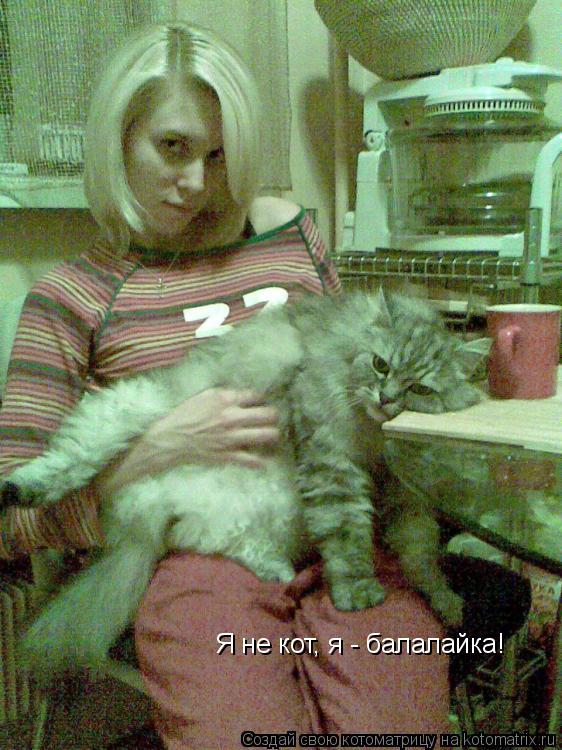 Котоматрица: Я не кот, я - балалайка!