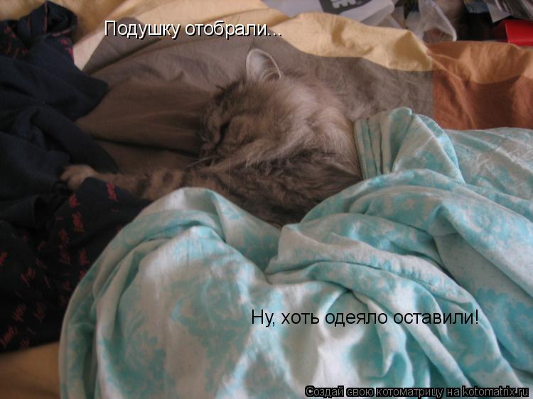 Котоматрица: Подушку отобрали...  Ну, хоть одеяло оставили!