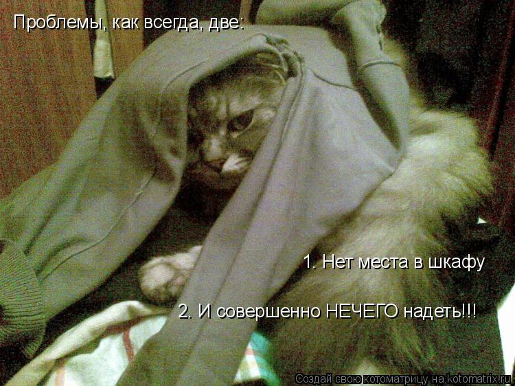 Котоматрица: Проблемы, как всегда, две: 1. Нет места в шкафу 2. И совершенно НЕЧЕГО надеть!!!