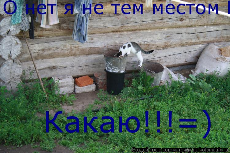 Котоматрица: О нет я не тем местом Какаю!!!=)  Какаю!!!=)