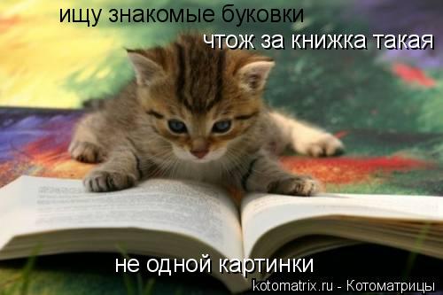 Котоматрица: ищу знакомые буковки чтож за книжка такая не одной картинки