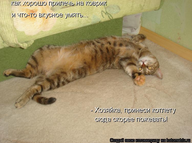 Котоматрица: как хорошо прилечь на коврик - Хозяйка, принеси котлету сюда скорее пожевать! и что-то вкусное умять...