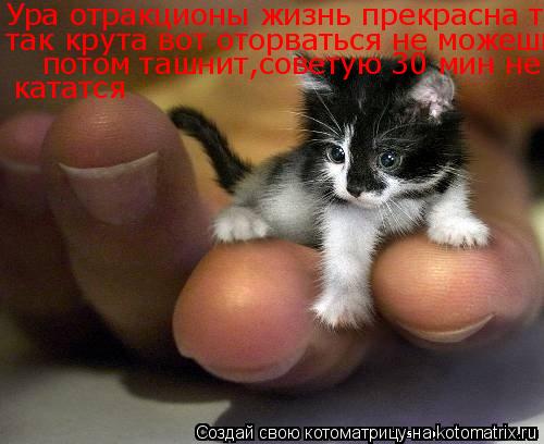 Котоматрица: Ура отракционы жизнь прекрасна  Ура отракционы жизнь прекрасна так крута вот оторваться не можешь потом ташнит советую 30 мин не кататся та