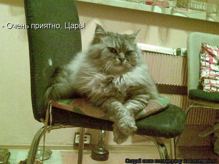 Котоматрица: - Очень приятно, Царь!