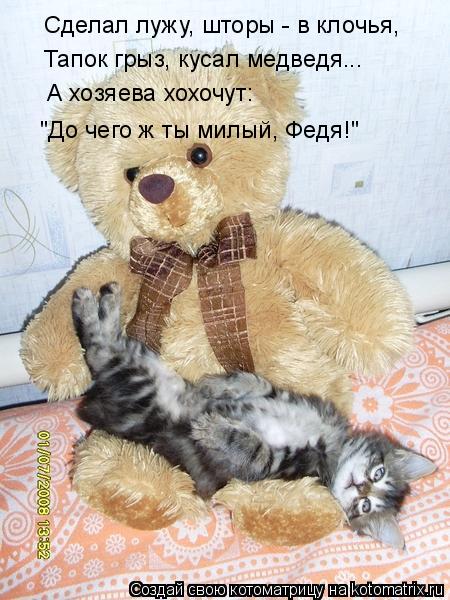 Сделал лужу, шторы - в клочья, Тапок грыз, кусал медведя... А хозяева хохочут: "До чего ж ты милый, Ф... Котоматрица: Сделал лужу, шторы - в клочья, Тапок грыз, кусал медведя... А хозяева хохочут: "До чего ж ты милый, Федя!"